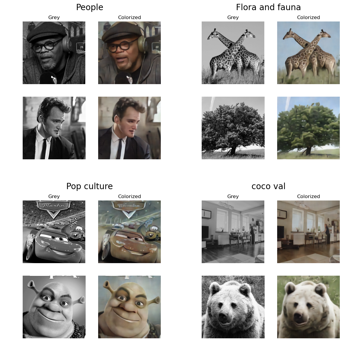 colorization_all_transformations
